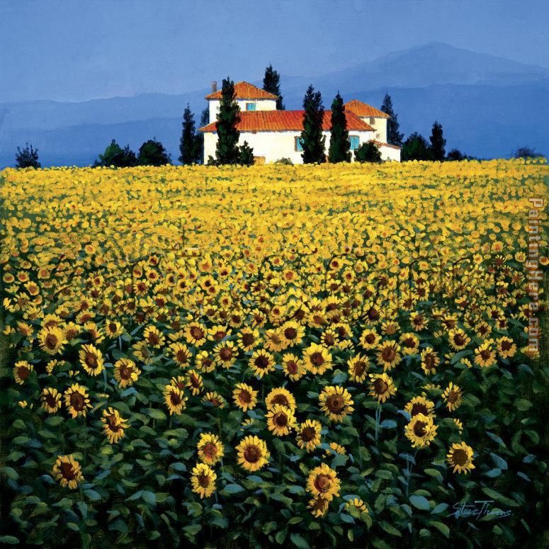 Sunflower Field painting - Steve Thoms Sunflower Field art painting